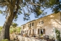 The ancient pine tree provides a lovely shade in Summer